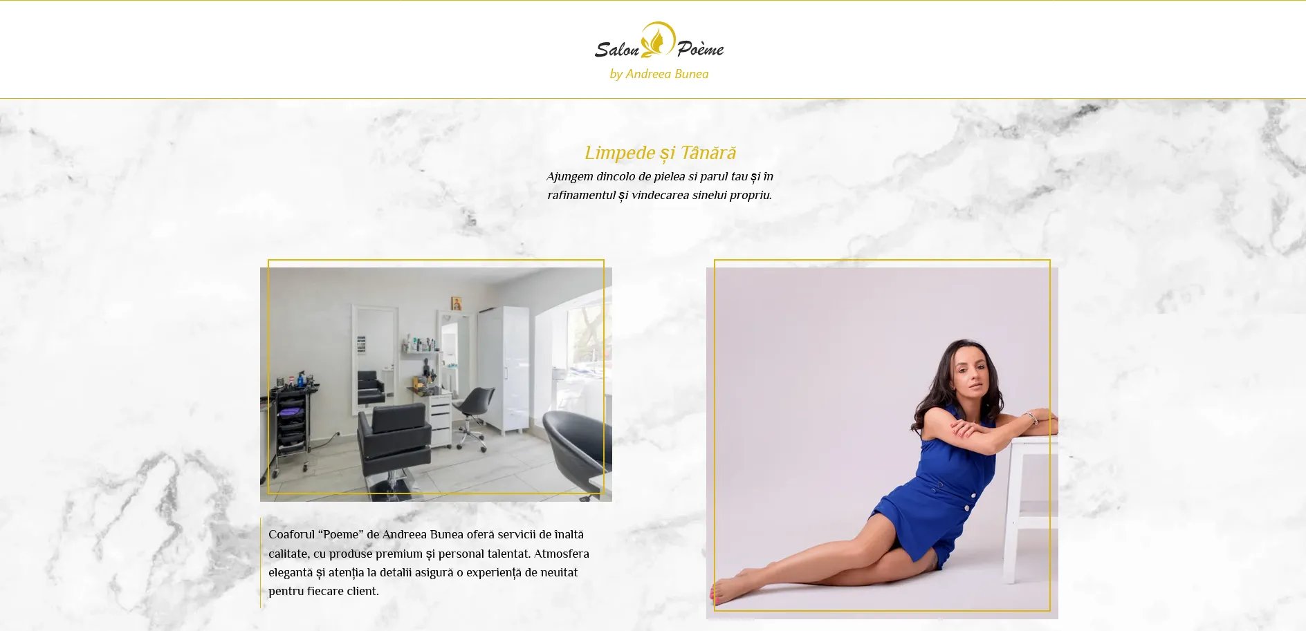 site prezentare